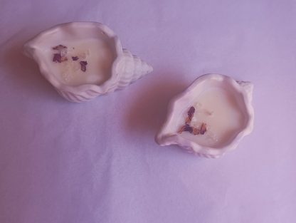''Small shell'' κεραμικό κερί κοχύλι - Image 7