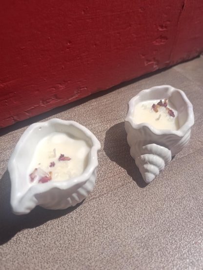 ''Small shell'' κεραμικό κερί κοχύλι