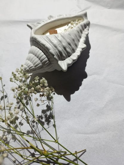 ''Shell'' μεγάλο κεραμικό κερί κοχύλι - Image 4