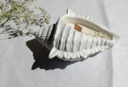''Shell'' μεγάλο κεραμικό κερί κοχύλι - Image 5