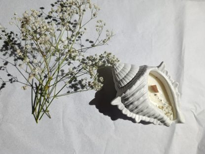 ''Shell'' μεγάλο κεραμικό κερί κοχύλι - Image 3