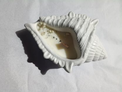 ''Shell'' μεγάλο κεραμικό κερί κοχύλι - Image 2