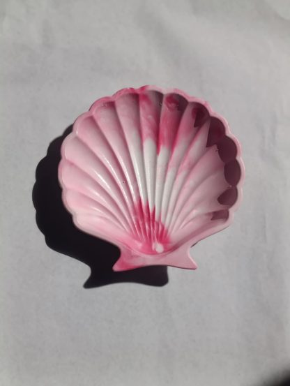 ''Shell Tray'' - Image 5