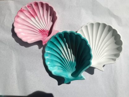 ''Shell Tray''